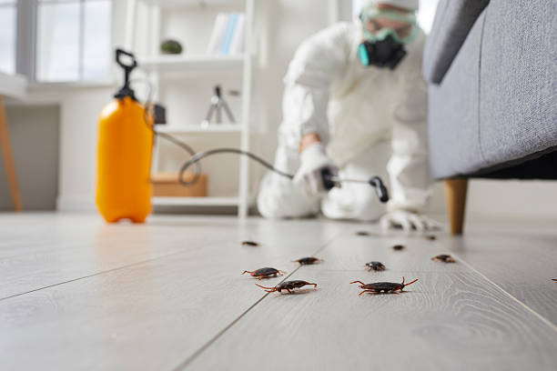 Affordable Cockroach Control solutions in Badger, AK