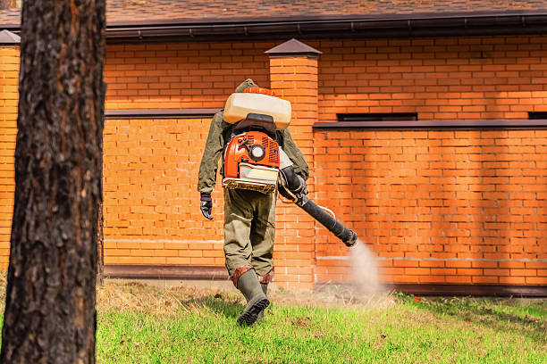 Top rated local Cockroach Control specialists in Badger, AK